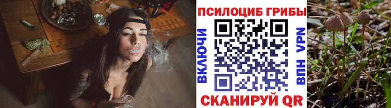 где найти Красавино Галлюциногенные грибы GOLDEN TEACHER